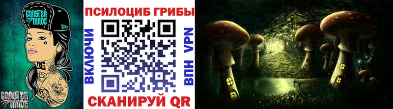 Купить  Камбарка  Галлюциногенные грибы Magic Shrooms 