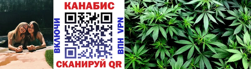 Марихуана сатива  Купить  Камбарка 